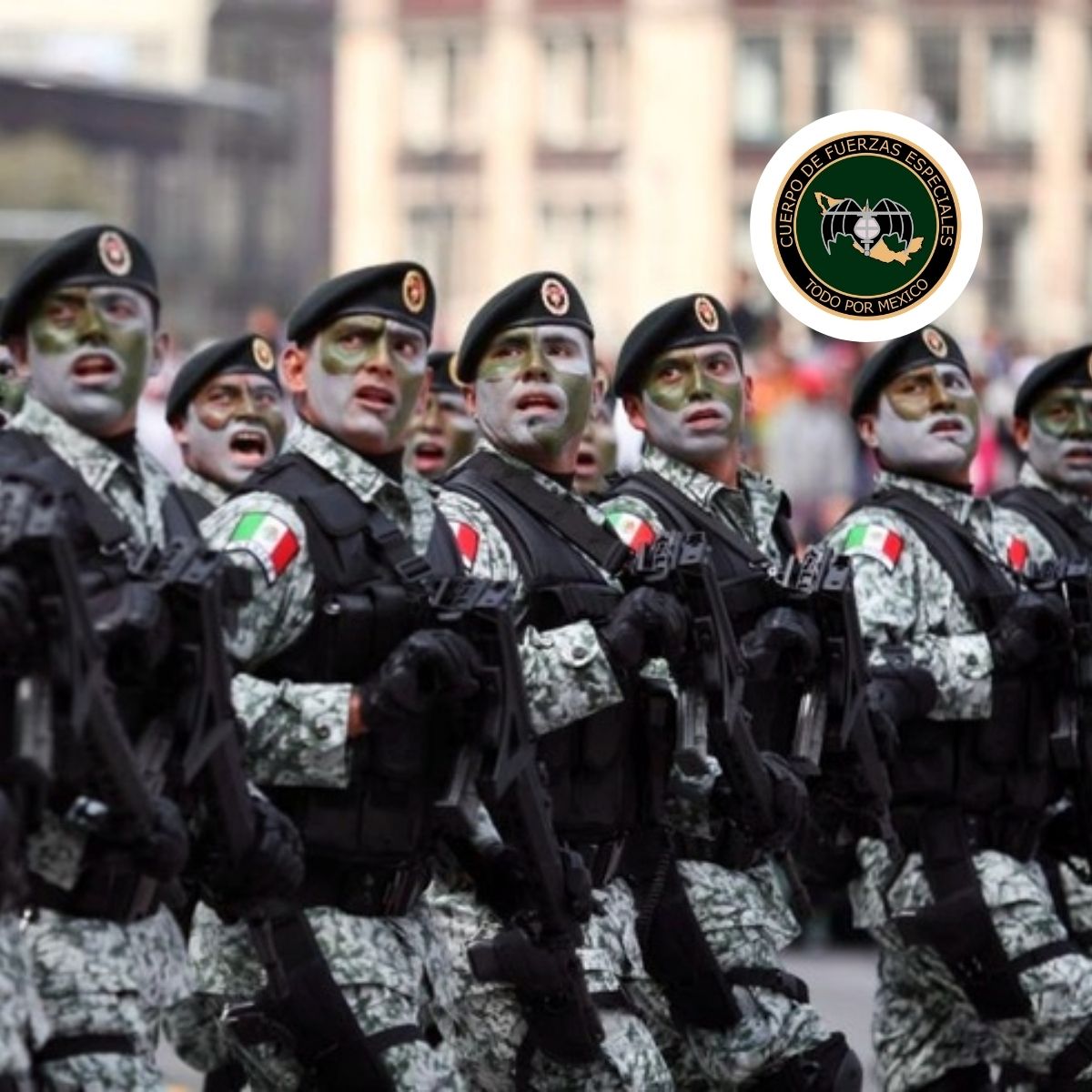 Cuerpo de Fuerzas Especiales